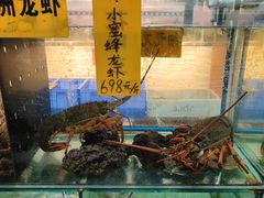 -寻味顺德·南记酒家·传统顺德菜·鱼生(广源路店)