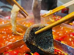 -白乐天毛肚火锅馆(解放碑店)
