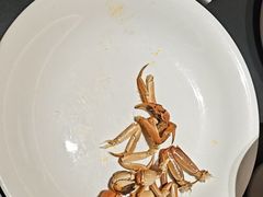 -鸽子侯·家宴·平价海鲜(绿地店)