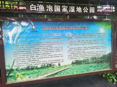 -白渔泡湿地公园