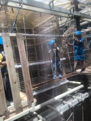 -PIPIKINGDOM皮皮王国欢乐号(欢乐海岸购物中心店)