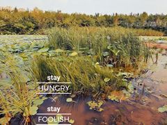 -丁香湖公园