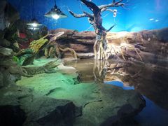 -沙沙哗啦海洋馆(华宇百花谷店)