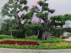 -白鹭洲公园