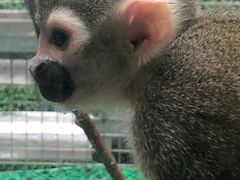 -武清南湖绿博园