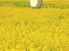 -梁子湖东篱老屋生态庄园