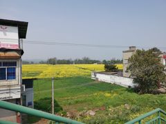 -桤木河湿地公园