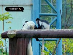 -上方山森林动物世界