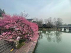 -西溪国家湿地公园