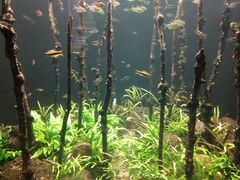 -成都浩海立方海洋公园