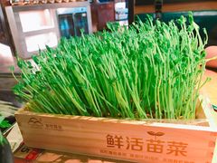 -左庭右院鲜牛肉火锅(南通CBD大有境店)