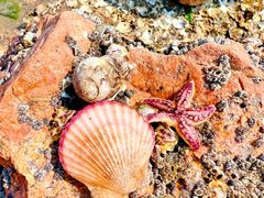 -青岛银沙滩