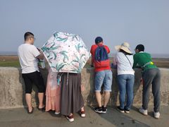 -南汇嘴观海公园