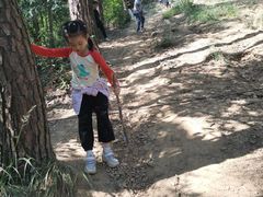 -青龙山国家森林公园