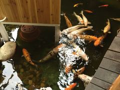 -上海大自然野生昆虫馆