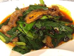回锅肉-陈麻婆豆腐总店