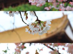 -明故宫遗址公园