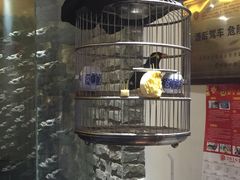 八哥-红红烤鸭店(西单店)