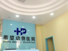 大厅-希望动物医院(汉阳院)
