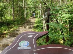 -汤旺河林海奇石景区