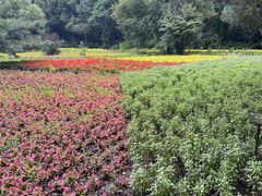 -黑龙江省森林植物园
