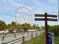 -日照海滨国家森林公园