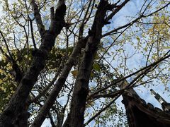 -宁波市保国寺古建筑博物馆