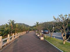 -野狸岛