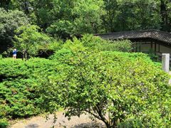 -紫霞湖公园