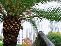 -苏州河梦清园环保主题公园