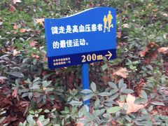 -西安市长乐公园