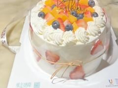 -维尔纳斯·生日蛋糕·动物奶油冰淇淋蛋糕(六里桥店)