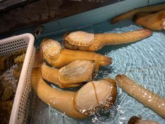 象拔蚌-尚海豆捞(乐虹坊店)