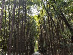 -同里国家湿地公园
