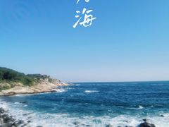 -广东惠东海龟国家级自然保护区