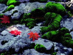 -丹东天桥沟景区