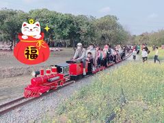 -长洲岛都市农业公园