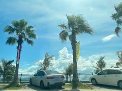 -巽寮湾