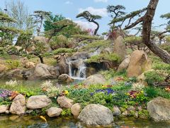 -罗红摄影艺术馆