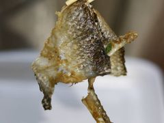 -陈添記·祖傳爽鱼皮·西关老字号(广州首店)
