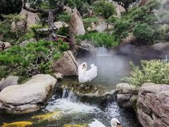 -罗红摄影艺术馆