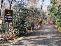 -紫金山山顶公园