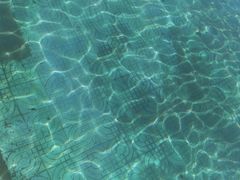 -柳浪游泳场