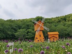 -苏州上方山国家森林公园