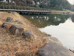 -尚贤河湿地
