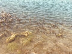 -南京金牛湖风景区