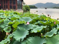 -湘湖大院(越王路店)