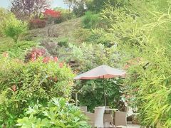 -大盘山温泉山庄