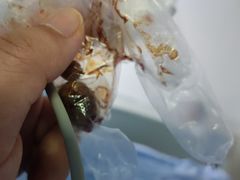 -田螺阿姨自营月嫂·育儿嫂(高新店)