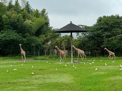 -宁波野生动物园